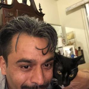 Meet your Posher, Lombardo antonio